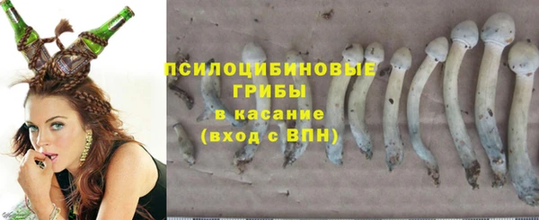 таблы Бородино