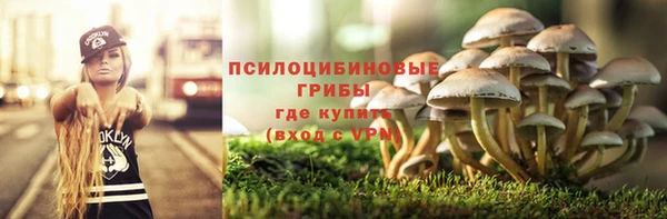 крисы Бронницы