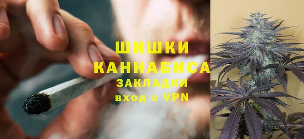 крисы Бронницы