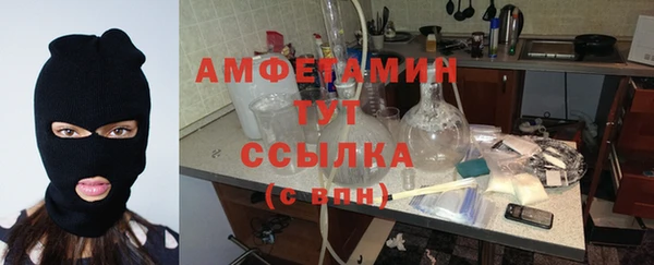 крисы Бронницы