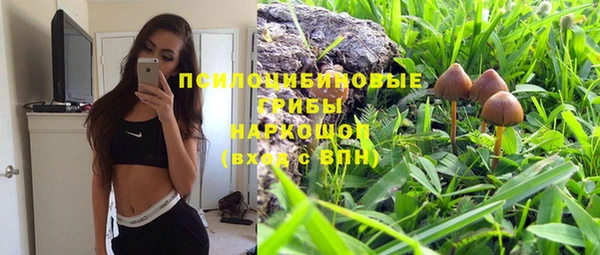 таблы Бородино