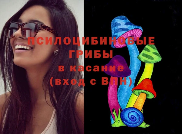 таблы Бородино