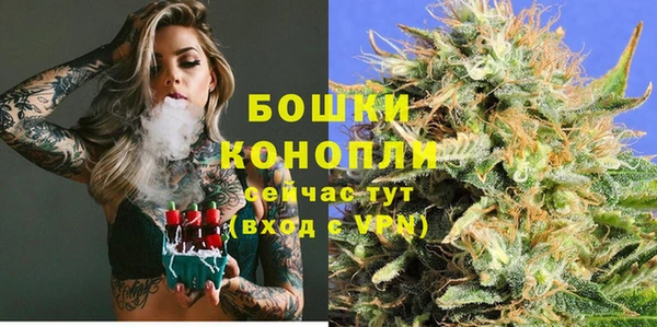 крисы Бронницы