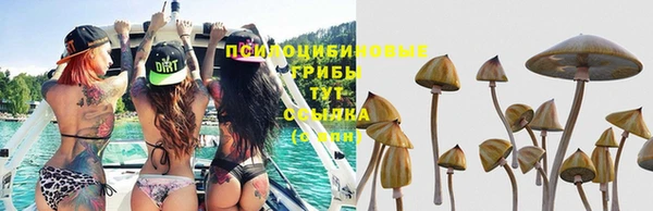 прущая мука Бугульма