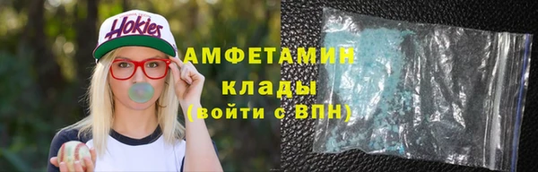 крисы Бронницы
