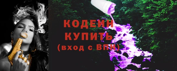 таблы Бородино