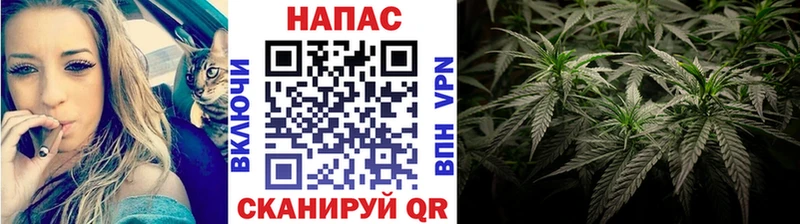 Купить где  Кондопога  Бошки Шишки семена 